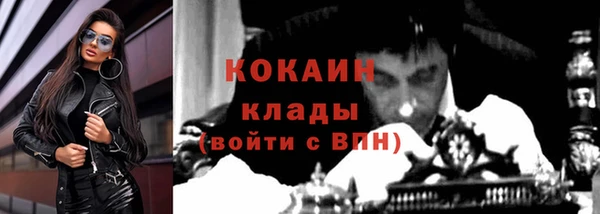 индика Армянск