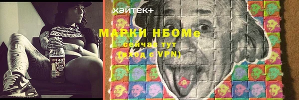 индика Алексин