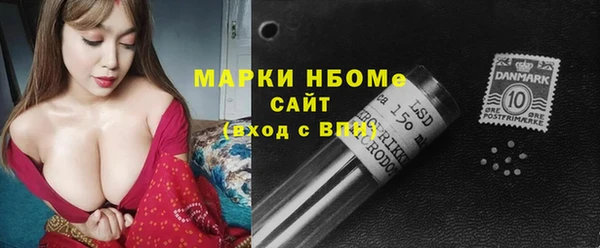 индика Армянск